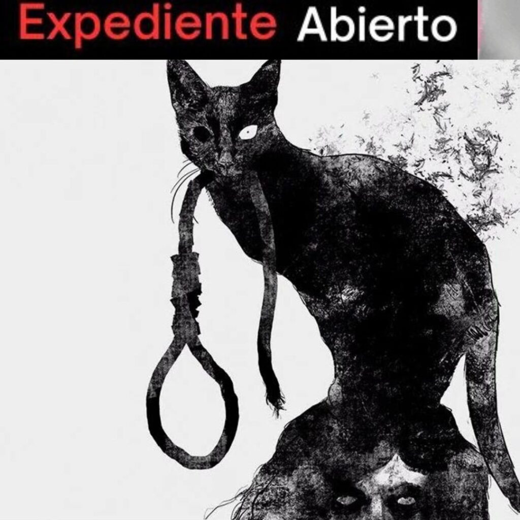 El gato de Edgart Allan Poe y los crimenes de la academia.